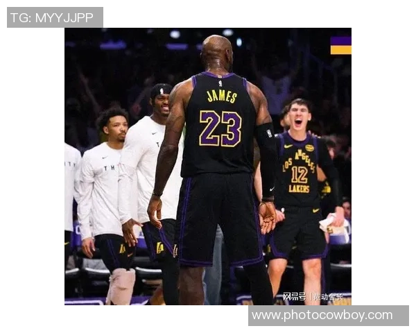 NBA赛季精彩回顾湖人战胜太阳火箭力克森林狼开拓者击败快船争夺季后赛席位