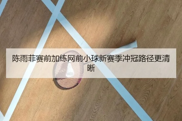 陈雨菲赛前加练网前小球新赛季冲冠路径更清晰