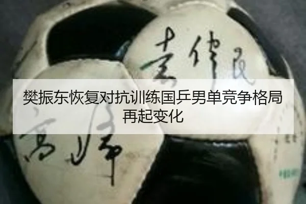 樊振东恢复对抗训练国乒男单竞争格局再起变化